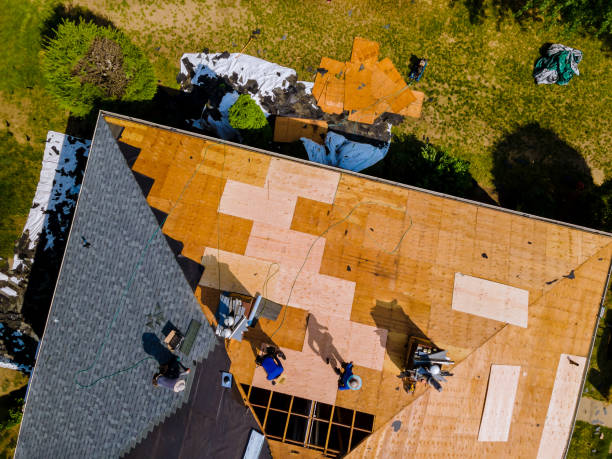 Best Local Roofing Companies  in Fulton, TX