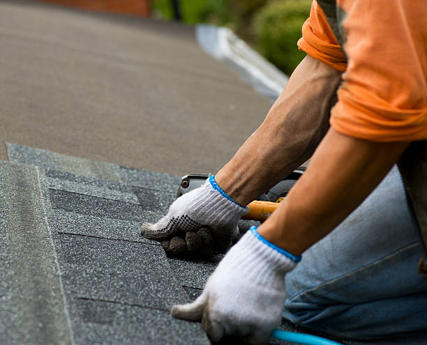 Best Local Roofing Companies  in Fulton, TX